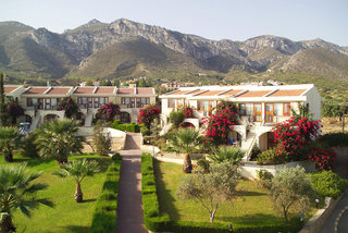 the olive tree hotel