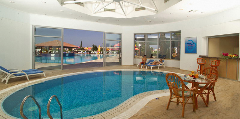 the olive tree hotel