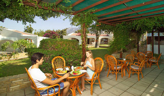 the olive tree hotel