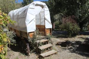 virginia creek settlement