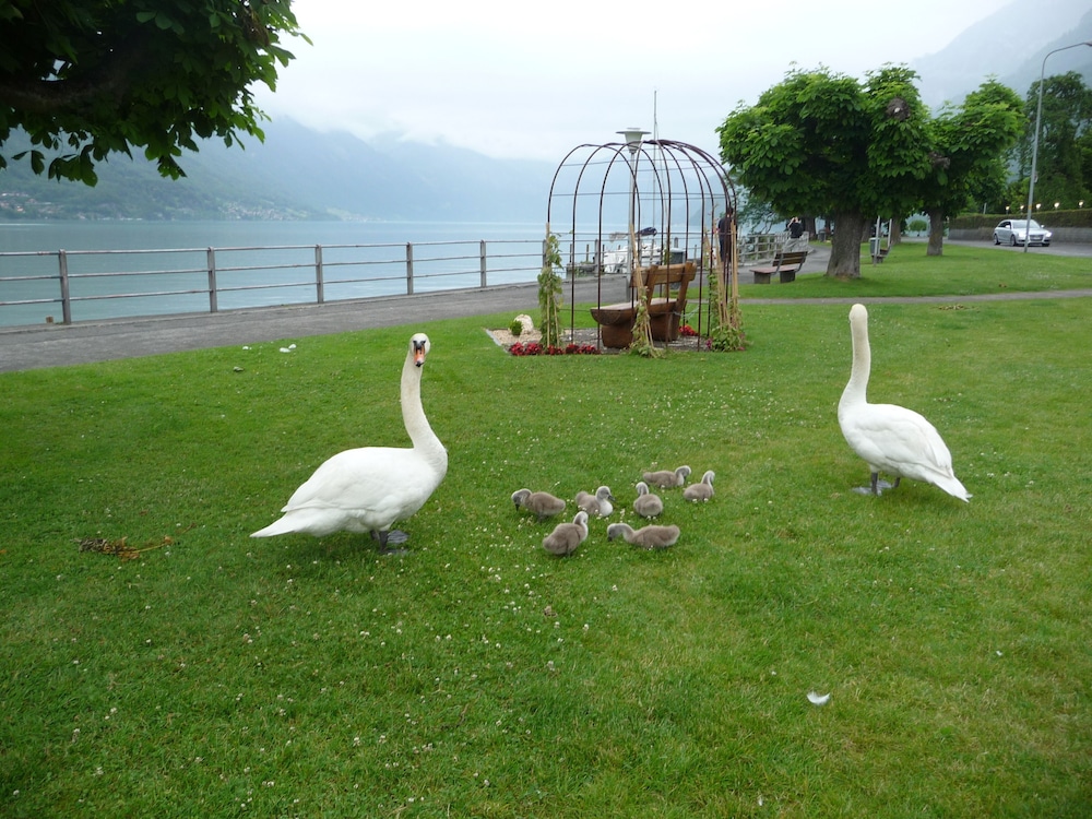 seiler au lac