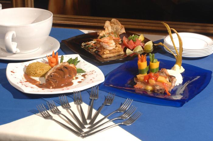 hotel villa tournon