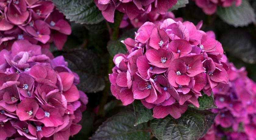 le village cancalais