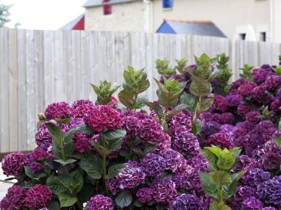 le village cancalais