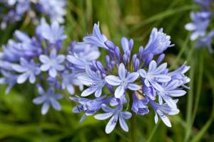 le village cancalais