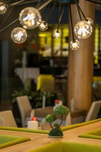 hvd club hotel bor ultra all inclusive