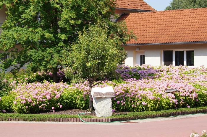 seehotel bollmannsruh am beetzsee