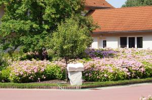 seehotel bollmannsruh am beetzsee