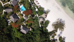 shooting star lodge