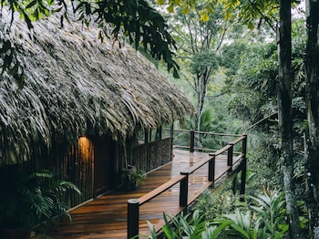 blancaneaux lodge by francis ford coppola