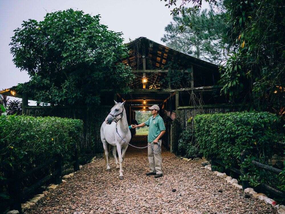 blancaneaux lodge by francis ford coppola