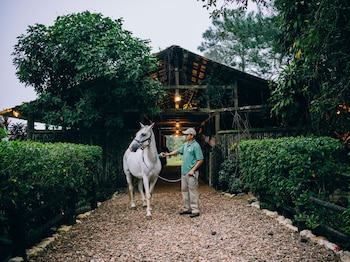 blancaneaux lodge by francis ford coppola