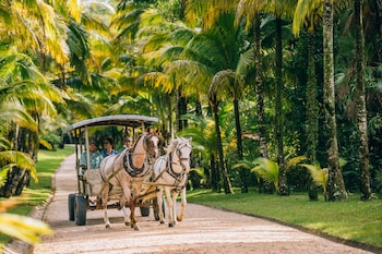 blancaneaux lodge by francis ford coppola