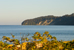 binz