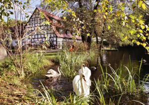 Springbach-Muhle Belzig,In Bad Belzig (Potsdam-Mittelmark District),3 star