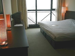 magnificent international hotel