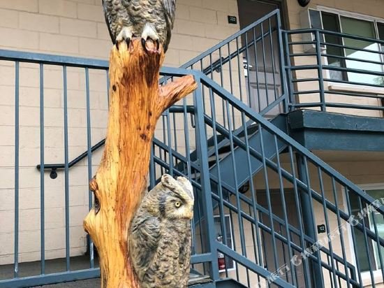 boulder university inn