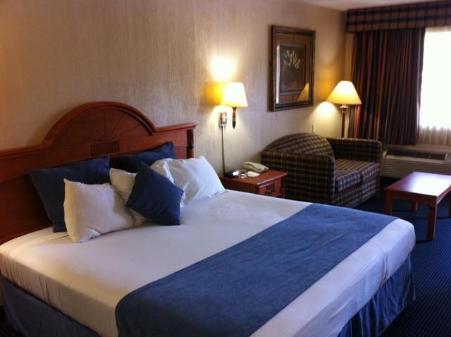 downtowner inn and suites hobby