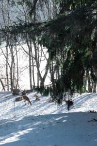 Hotel De Gruyeres,Bulle>>Broc,3 star