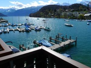 Hotel-Restaurant Seegarten-Marina,Faulensee>>Bern,3 star