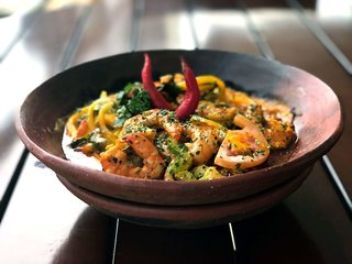 ibis salvador rio vermelho