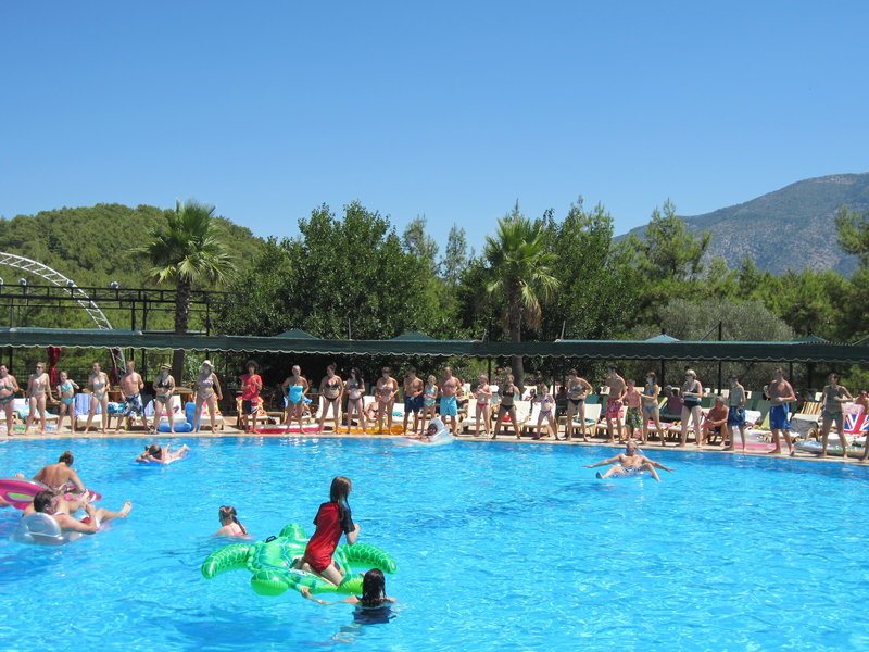 green forest holiday village