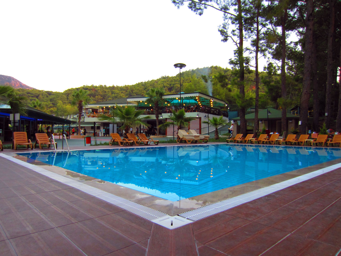 green forest holiday village
