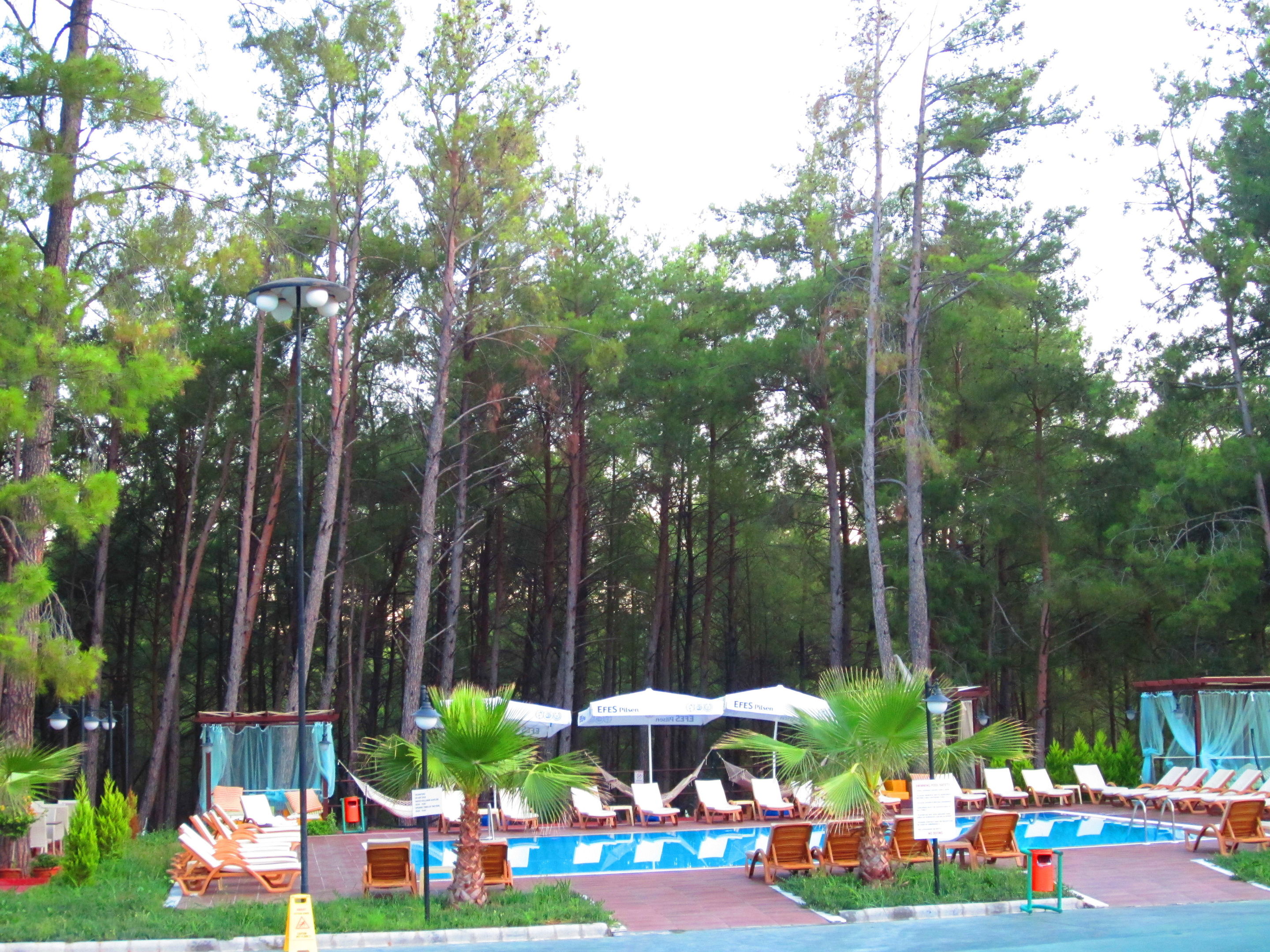 green forest holiday village