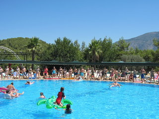 green forest holiday village