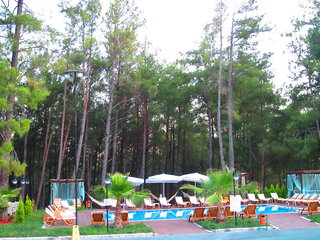 green forest holiday village