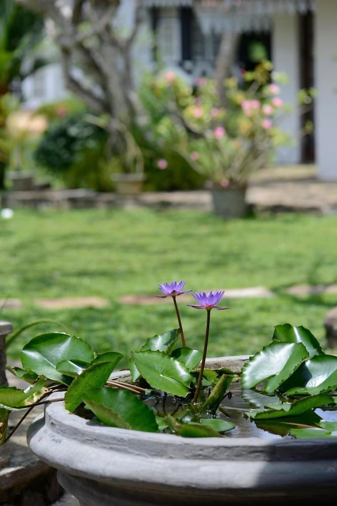 hotel warahena walauwa