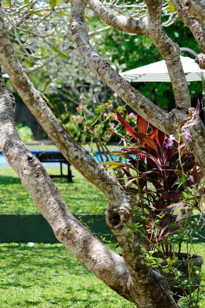 hotel warahena walauwa