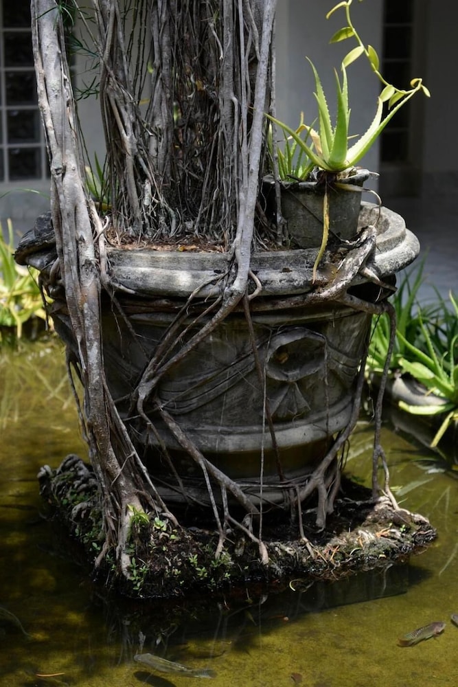 hotel warahena walauwa