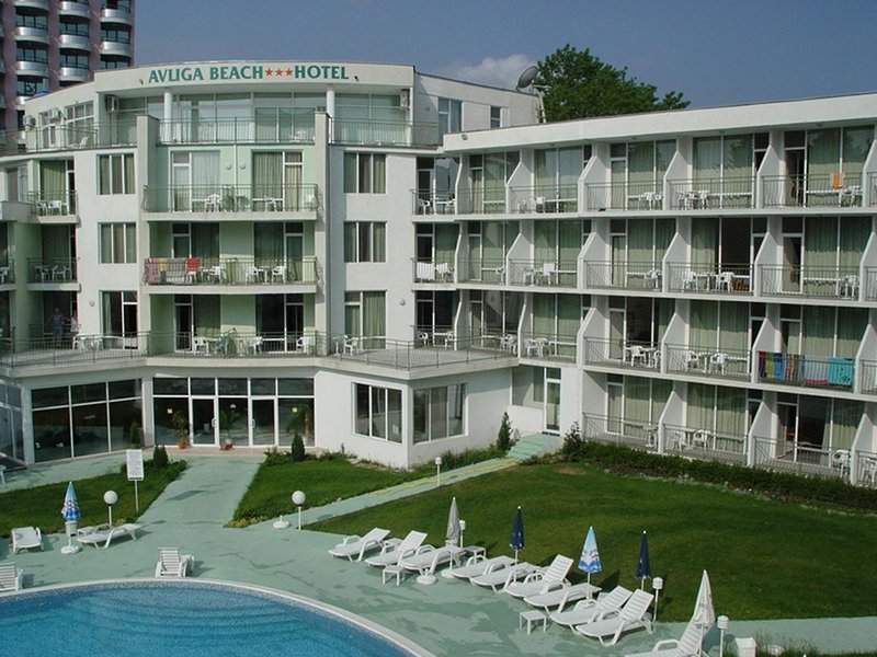 flamingo beach hotel