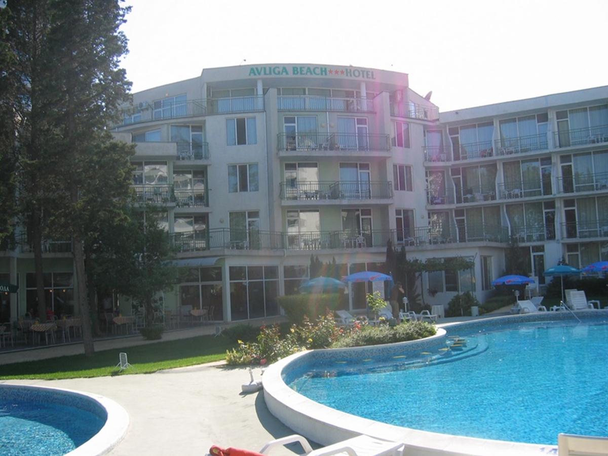 flamingo beach hotel