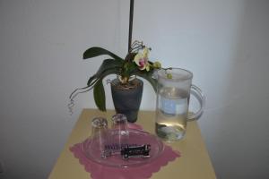 Pension Mahrets Puppenstube,Thuringia>>Eisenach,3 star