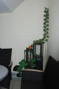 aparthotel kleine perle