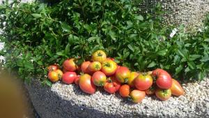 krumpendorf am woerther see