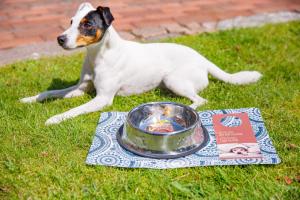 stadthotel eckernforde