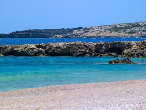 cavo marelia