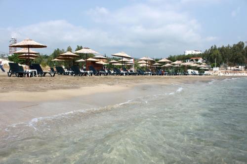 olbios marina resort