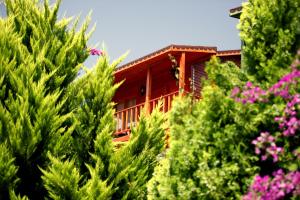 olbios marina resort