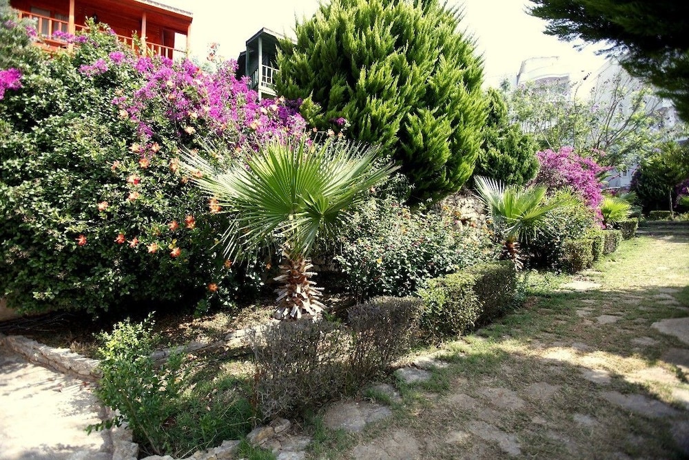 erdemli