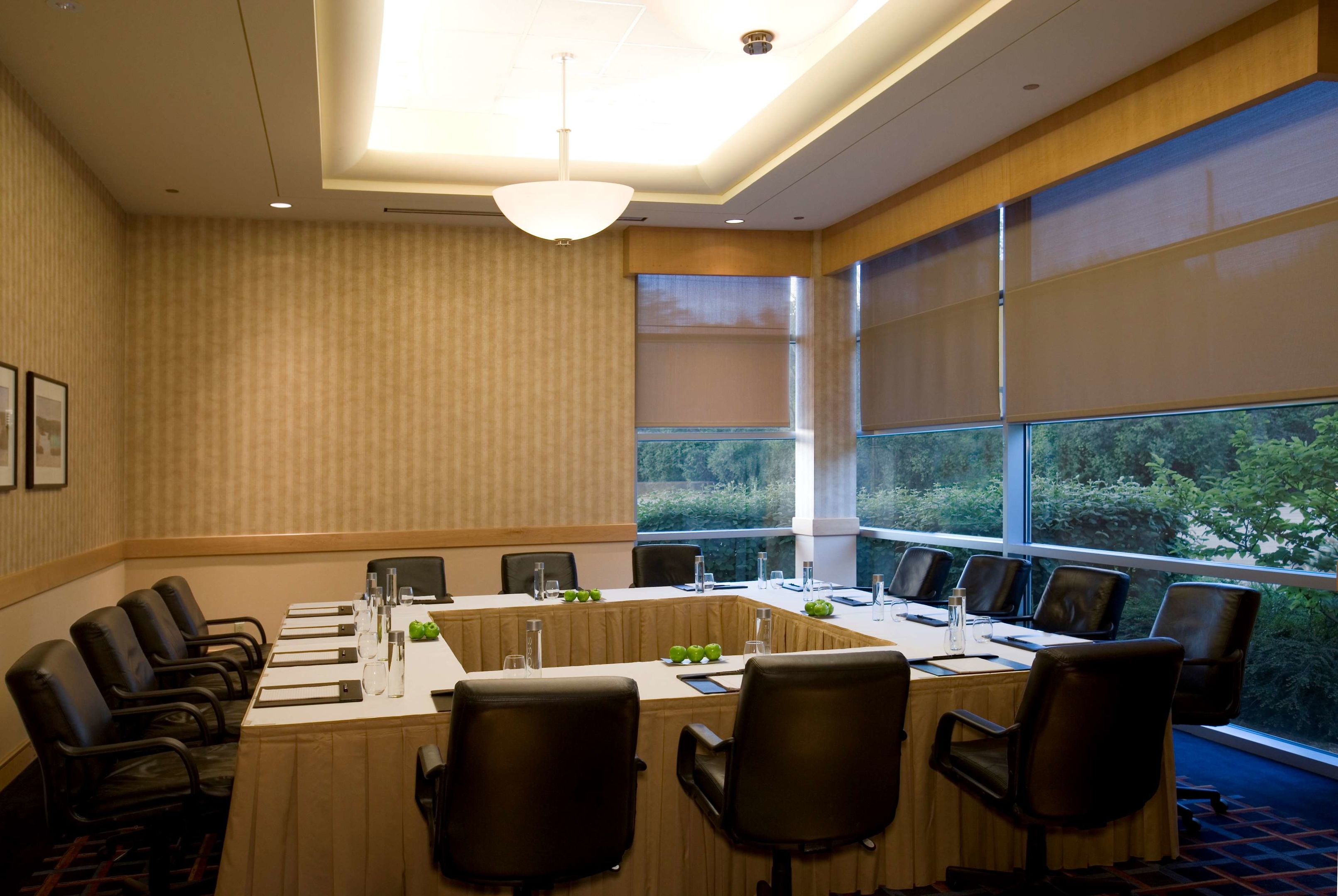 hyatt rosemont