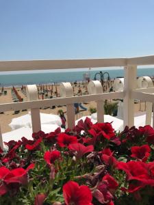 hotel bellariva