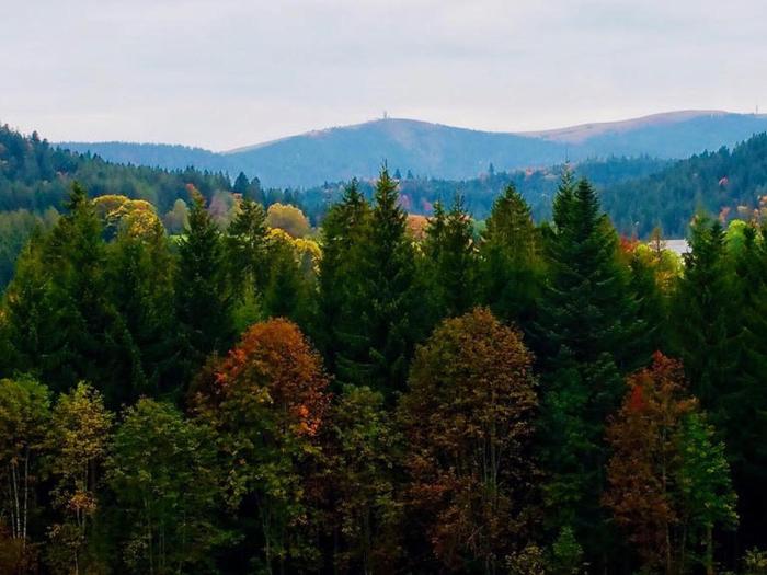 hotel zartenbach bandb