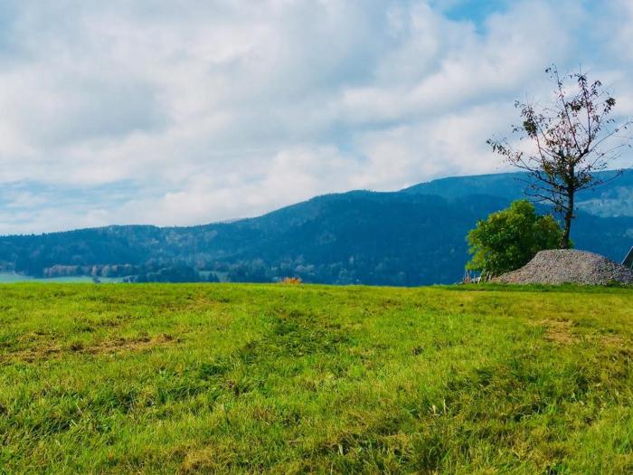 hotel zartenbach bandb