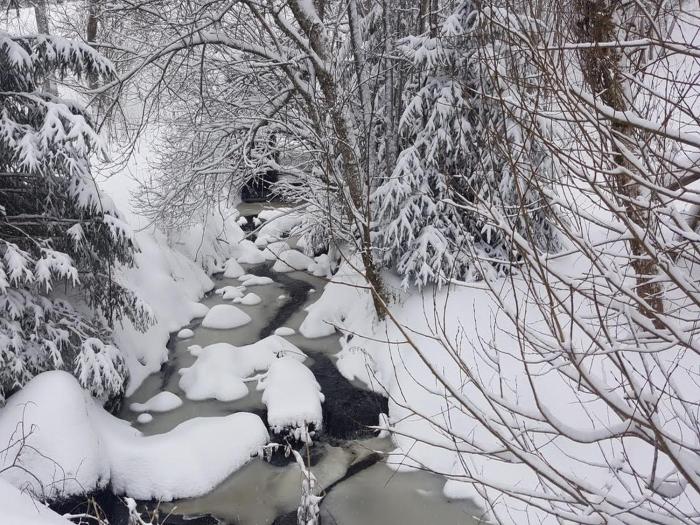 hotel zartenbach bandb