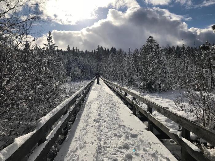 hotel zartenbach bandb