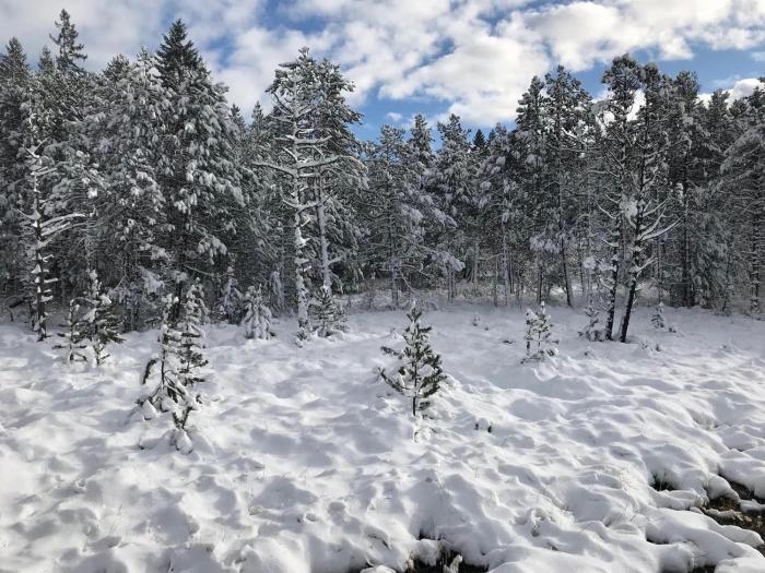 hotel zartenbach bandb